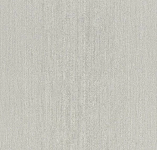 Rasch Barbara XL 800548 для кухни для спальни для гостиной для коридора для кабинета для загородного дома для комнаты для прихожей серый