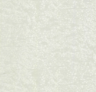 Emiliana Parati Roberto Cavalli Home 8 RC19039 для кухни для спальни для гостиной для кабинета для загородного дома для комнаты белый светло-серый