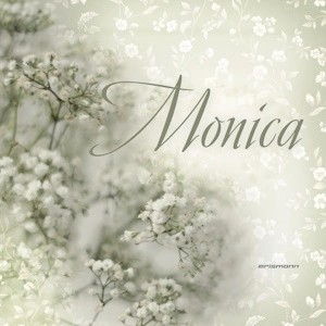 Erismann Коллекции