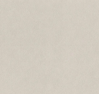 Rasch Art Nouveau 943887 для кухни для спальни для гостиной для коридора для кабинета для загородного дома для комнаты для прихожей кофейный капучино