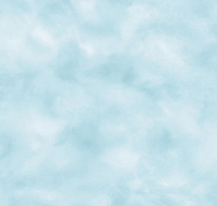 York Brothers and Sisters RU8329 для детской голубой