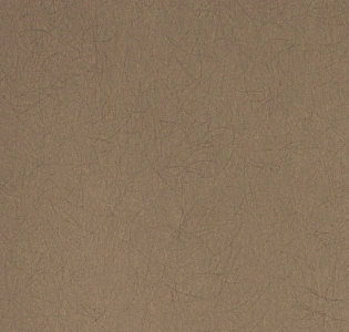 Bernardo Bartalucci Legend 5068-38 для спальни для гостиной для кабинета для загородного дома для комнаты для прихожей коричневый