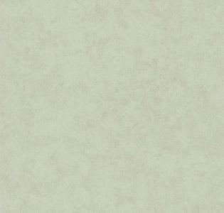 Caselio Beton 2 BTO101487270 для кухни для спальни для гостиной для коридора для кабинета для загородного дома для комнаты для прихожей оливковый