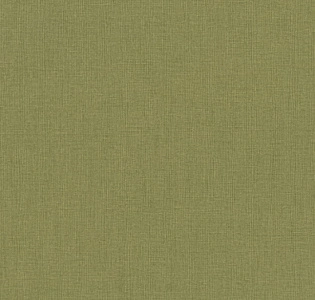 Rasch Excellent 484755 для кухни для спальни для гостиной для коридора для кабинета для загородного дома для комнаты для прихожей зеленый фисташковый