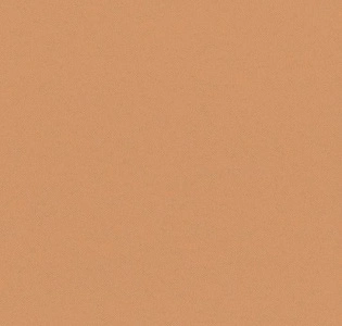 Aura Plain Resource II B1180303 для спальни для гостиной для кабинета для загородного дома для комнаты для прихожей терракотовый