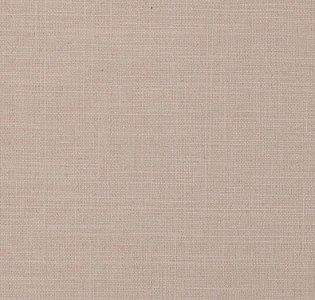 Erismann Amazonika 60465-11 для кухни для спальни для гостиной для коридора для кабинета для загородного дома для комнаты для прихожей бежевый песочный