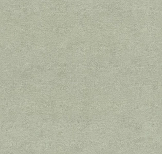 Rasch Кимоно (Kimono) 408171 для кухни для спальни для гостиной для коридора для кабинета для загородного дома для комнаты для прихожей зеленый