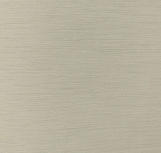 54438-6 Andrea Rossi Berggi 54438-6 для кухни для спальни для гостиной для коридора для кабинета для загородного дома для комнаты для прихожей серый светло-серый