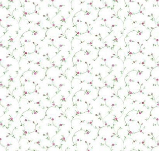 York Roses PN0512 для спальни для гостиной для загородного дома для комнаты белый