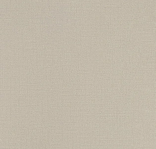 Andrea Rossi Spectrum Plus 54353-24 для кухни для спальни для гостиной для коридора для кабинета для загородного дома для комнаты для прихожей светло-серый