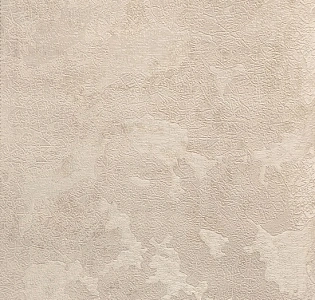 Cassanie Sylvia 99656 для кухни для спальни для гостиной для коридора для кабинета для загородного дома для комнаты для прихожей бежевый кремовый