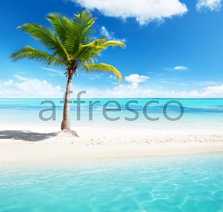 Affresco Фрески и фотообои ID12874