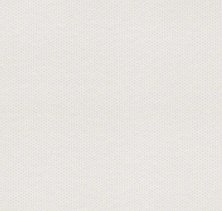 Rasch Textil Petite Fleur 4 288970 для спальни для гостиной для загородного дома для комнаты серый светло-серый