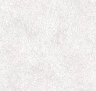 Decoprint Selena SL18120 для кухни для спальни для гостиной для коридора для кабинета для загородного дома для комнаты для прихожей серый светло-серый