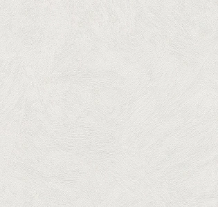 A.S. Creation Sylvana 8921-26 для кухни для спальни для гостиной для коридора для кабинета для загородного дома для комнаты для прихожей белый светло-серый