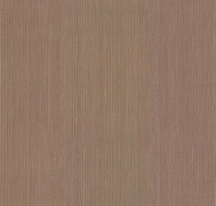 Fine Decor Evolve DL23046 для кухни для спальни для гостиной для коридора для кабинета для загородного дома для комнаты для прихожей коричневый