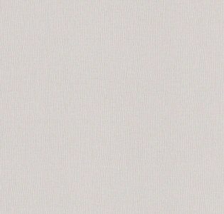 Rasch Almanach 975529 для кухни для спальни для гостиной для коридора для кабинета для загородного дома для комнаты для прихожей серый светло-серый