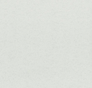 Aura Plain Resource II B1180304 для спальни для гостиной для кабинета для загородного дома для комнаты для прихожей серый светло-серый