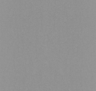 Rasch Emilia 501223