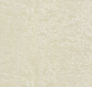 Emiliana Parati Roberto Cavalli Home 8 RC19037 для кухни для спальни для гостиной для кабинета для загородного дома для комнаты бежевый белый