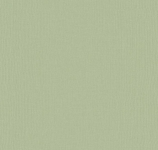 BN International Smalltalk 219223 для детской зеленый
