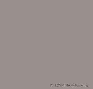 Loymina Clair CLR9 006 для спальни для гостиной для кабинета для загородного дома для комнаты для прихожей серый светло-серый