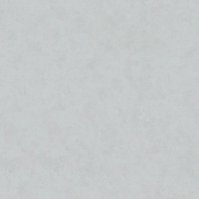 Обои виниловые на флизелиновой основе