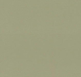 Rasch Allegretto 692709 для кухни для спальни для гостиной для коридора для кабинета для загородного дома для комнаты для прихожей зеленый оливковый