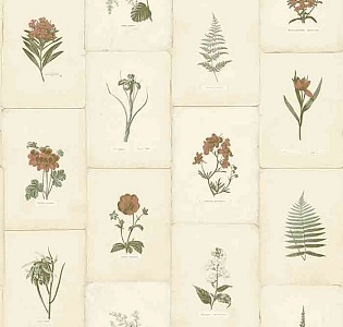 Paper Partnership University of Oxford Archives II WP0090902 для спальни для гостиной для загородного дома для комнаты бежевый