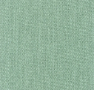 Caselio Natte NAE101567014 для кухни для спальни для гостиной для коридора для кабинета для загородного дома для комнаты для прихожей зеленый