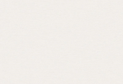 Обои виниловые на флизелиновой основе