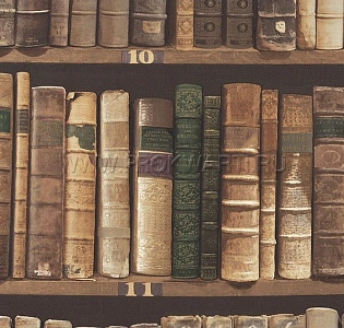 Paper Partnership University Of Oxford Archves I IWB00847 для кабинета для загородного дома для комнаты коричневый