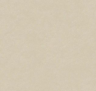 Roberto Borzagi Queen 1 90106-3 для кухни для спальни для гостиной для коридора для кабинета для загородного дома для комнаты для прихожей бежевый
