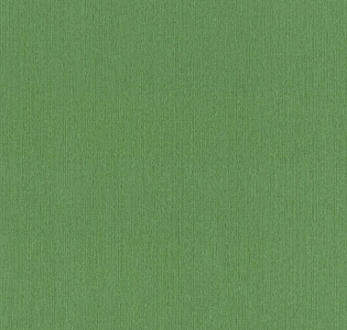 Rasch Barbara XL 800562 для кухни для спальни для гостиной для коридора для кабинета для загородного дома для комнаты для прихожей зеленый
