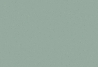 Обои виниловые на флизелиновой основе