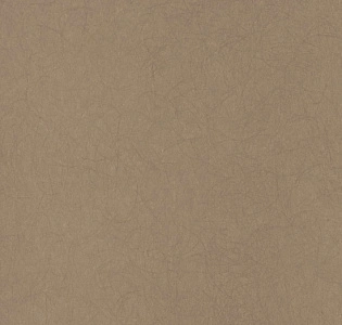 Bernardo Bartalucci Legend 5068-17 для спальни для гостиной для кабинета для загородного дома для комнаты для прихожей коричневый