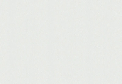 Обои виниловые на флизелиновой основе