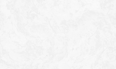 Обои виниловые на флизелиновой основе