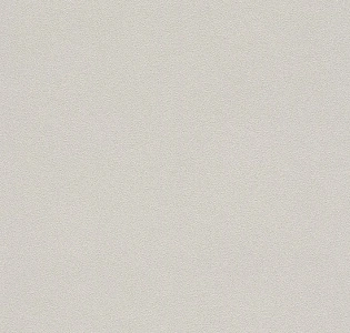 Rasch Allegretto 479430 для кухни для спальни для гостиной для коридора для кабинета для загородного дома для комнаты для прихожей серый светло-серый