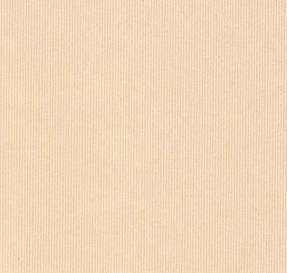 Loymina Satori  vol. II K13 004 /1 для кабинета для загородного дома для комнаты для прихожей персиковый