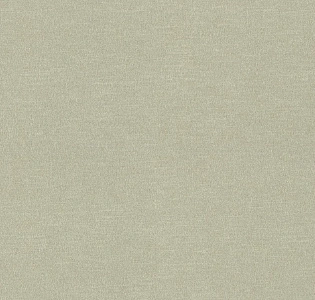 Rasch Chatelaine II 955538 для кухни для спальни для гостиной для коридора для кабинета для загородного дома для комнаты для прихожей зеленый
