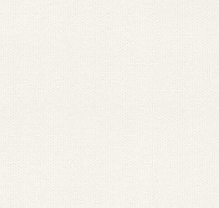 Rasch Textil Petite Fleur 4 288802 для спальни для гостиной для загородного дома для комнаты белый