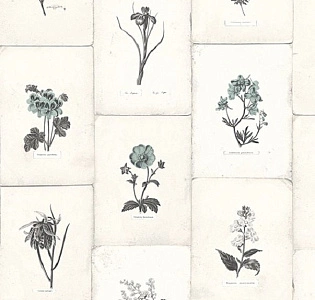 Paper Partnership University of Oxford Archives II WP0090904 для спальни для гостиной для загородного дома для комнаты светло-серый