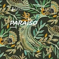 Paraiso Paraiso