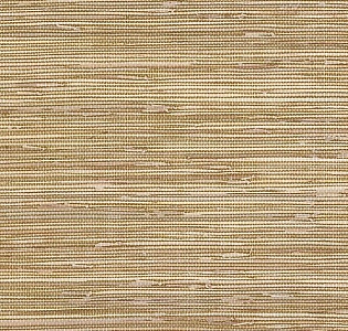 Aura Texture Style BG21536 для кухни для коридора для загородного дома для комнаты для прихожей песочный