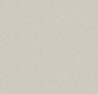 Aura Texture World H2990502 для кухни для спальни для гостиной для коридора для кабинета для загородного дома для комнаты для прихожей бежевый