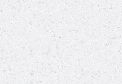 Обои виниловые на флизелиновой основе