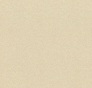 Rasch Chatelaine II 955545 для кухни для спальни для гостиной для коридора для кабинета для загородного дома для комнаты для прихожей бежевый