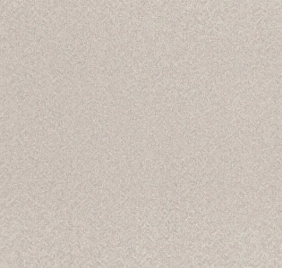 Rasch Almanach 975321 для спальни для гостиной для коридора для кабинета для загородного дома для комнаты для прихожей серый светло-серый