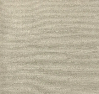 Andrea Rossi Berggi 54452-2 для кухни для спальни для гостиной для коридора для кабинета для загородного дома для комнаты для прихожей бежевый серо-бежевый